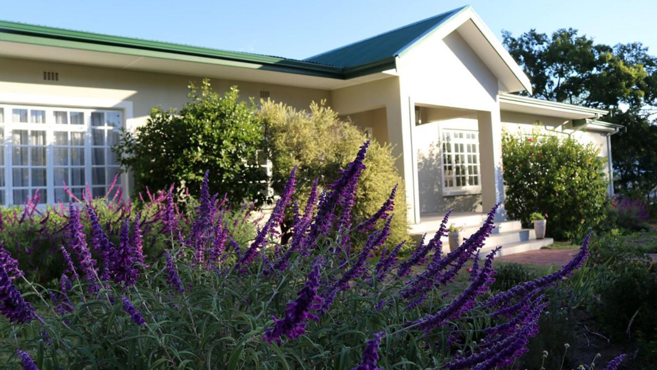 Daisy Place Franschhoek Zewnętrze zdjęcie