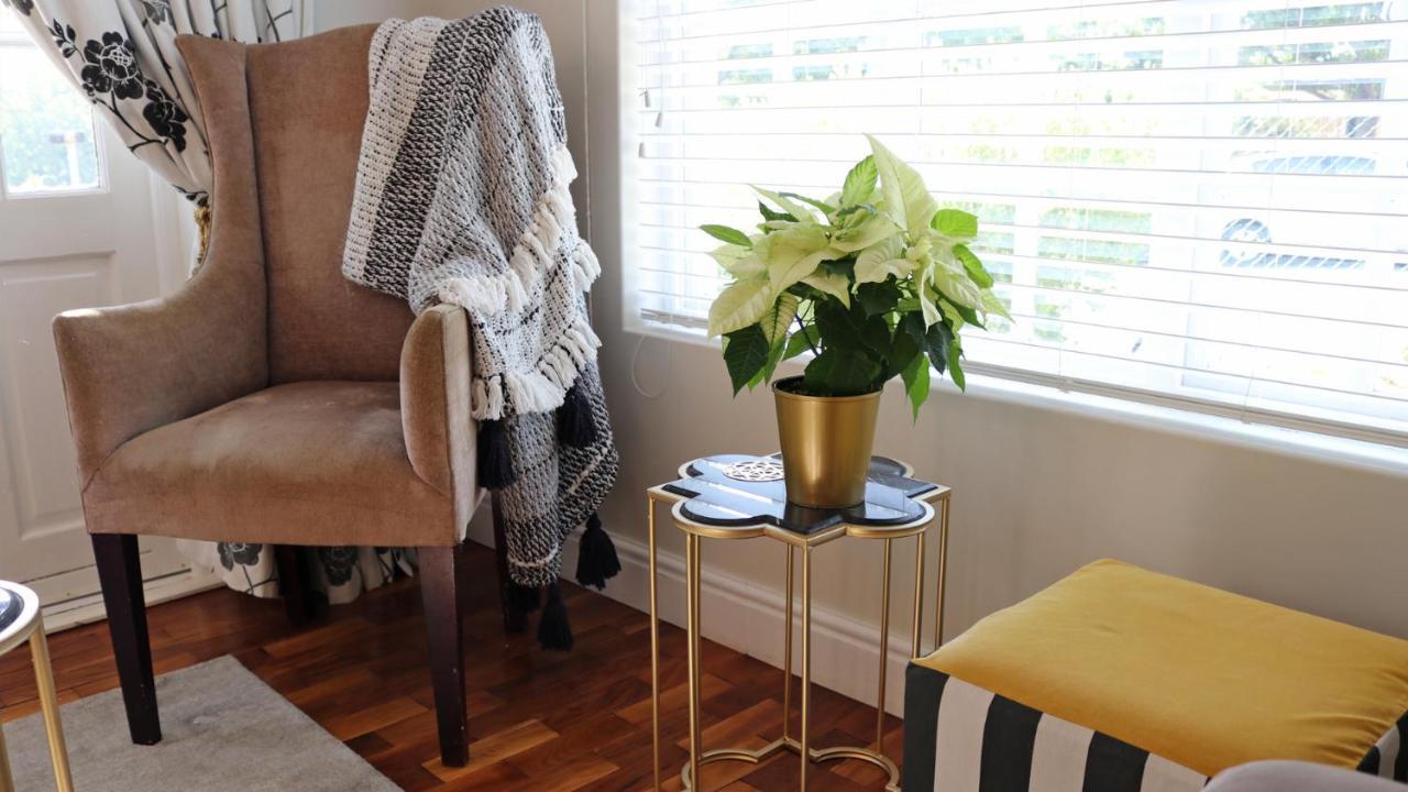 Daisy Place Franschhoek Zewnętrze zdjęcie